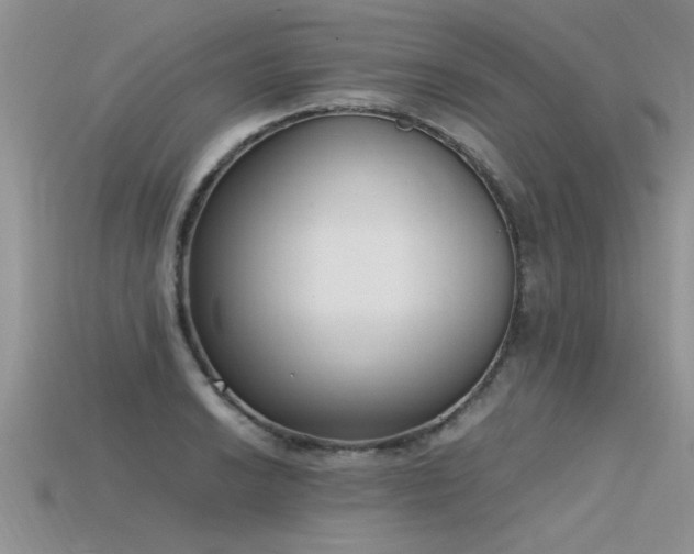 X0000115761038200911131151