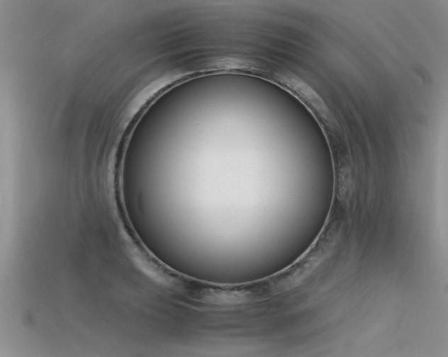 X0000115761039200911131151