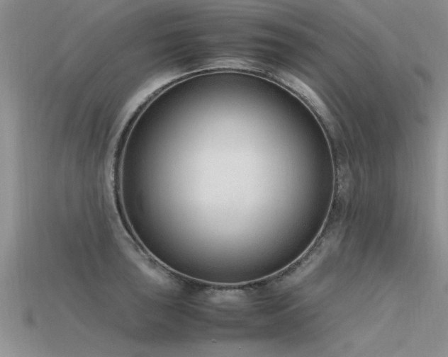 X0000115761043200911131152
