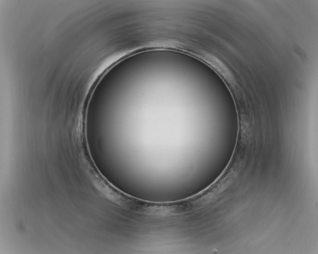 X0000115761044200911131152