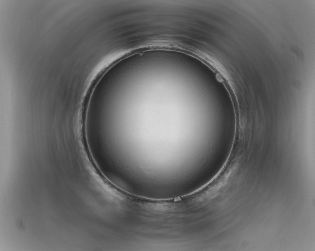 X0000115761045200911131152