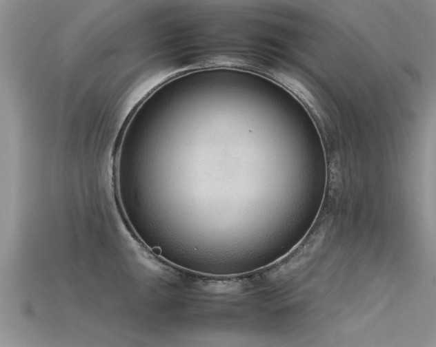 X0000115761047200911131152