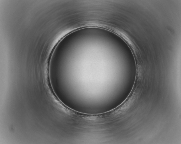 X0000115761048200911131152
