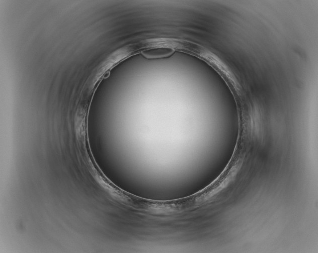 X0000115761049200911131152