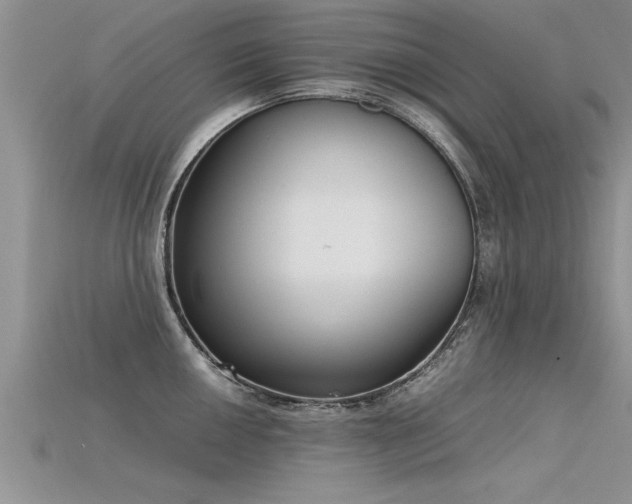 X0000115761050200911131152