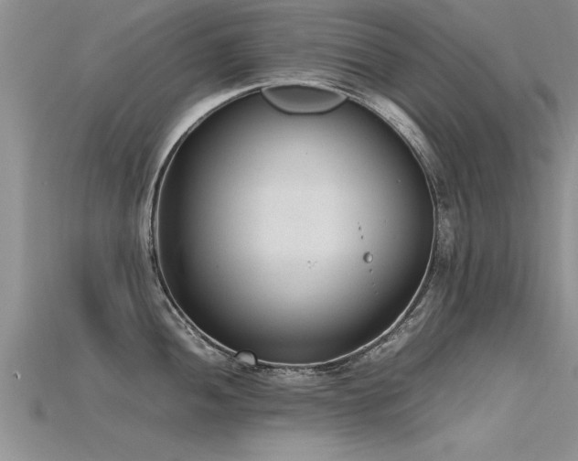 X0000115761052200911131152