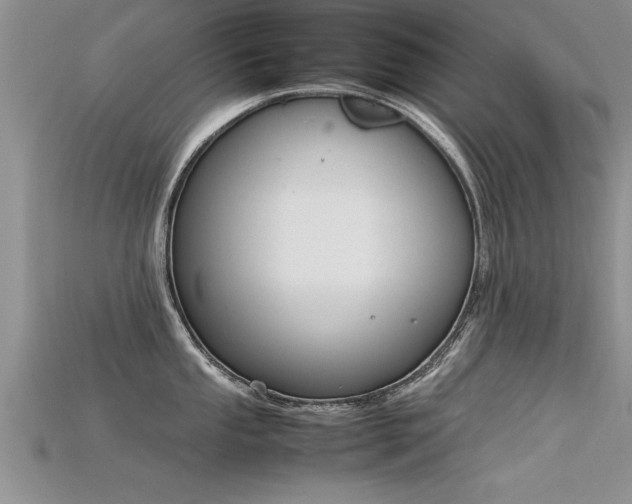 X0000115761053200911131152