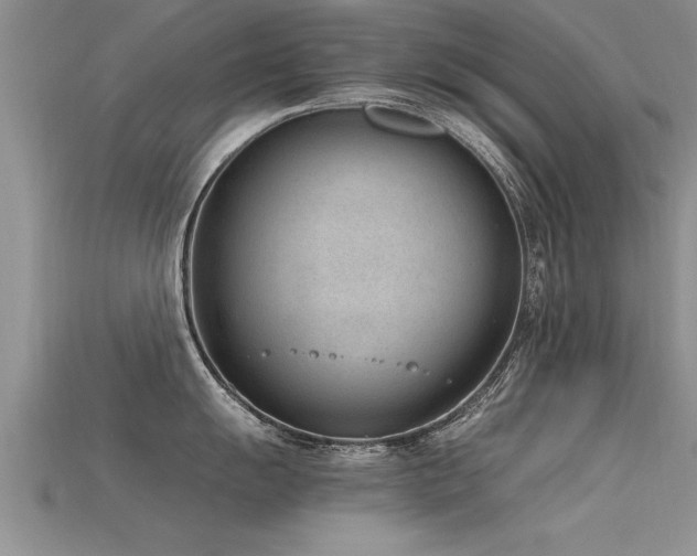 X0000115761055200911131152