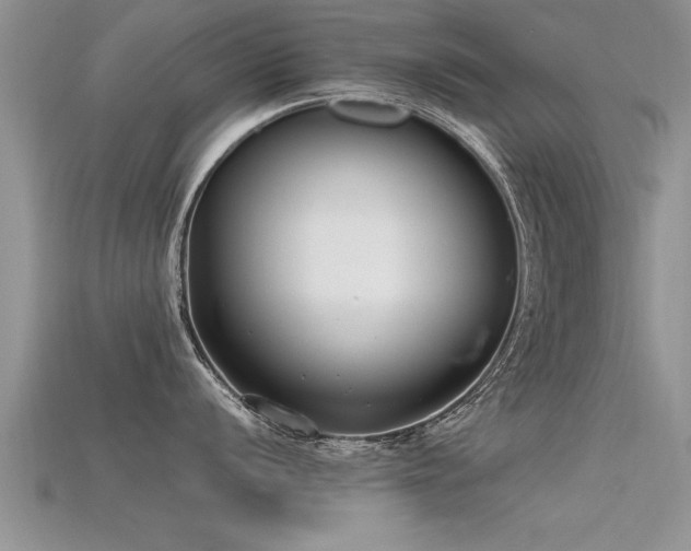 X0000115761056200911131152