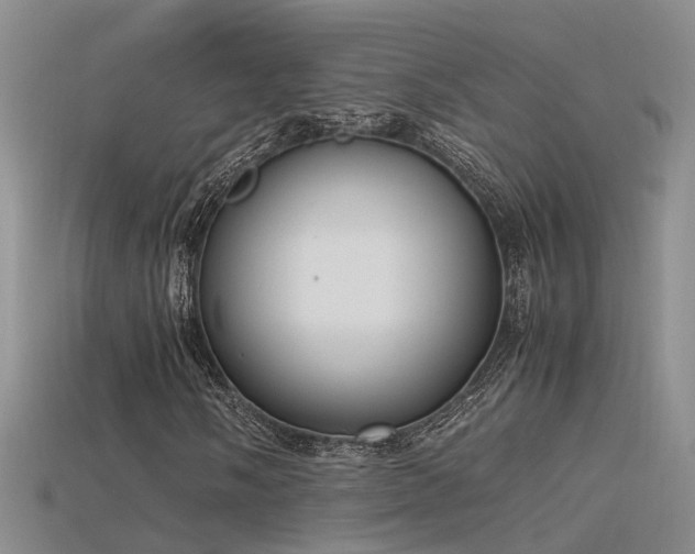 X0000115761058200911131151