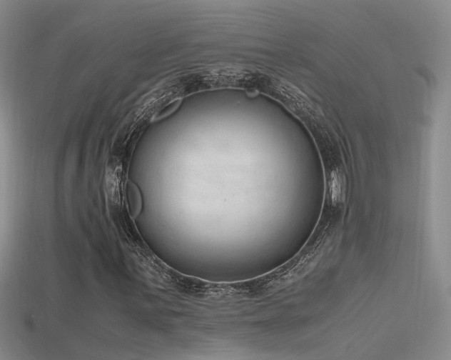 X0000115761059200911131151