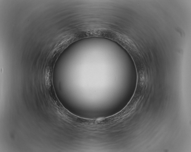 X0000115761060200911131151
