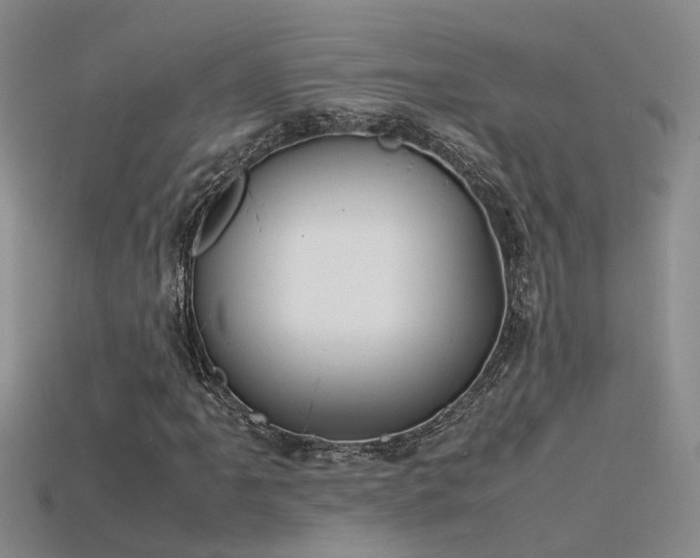 X0000115761061200911131151