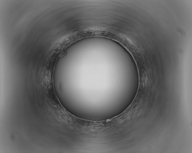 X0000115761062200911131151