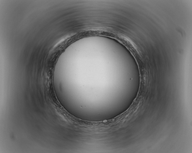 X0000115761064200911131151