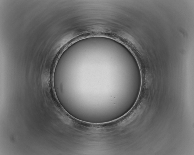 X0000115761065200911131151
