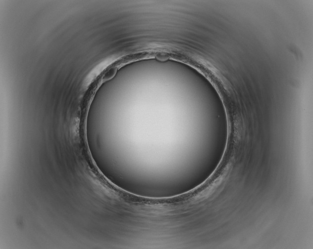 X0000115761066200911131151
