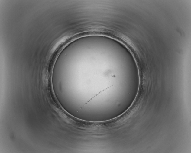 X0000115761067200911131151