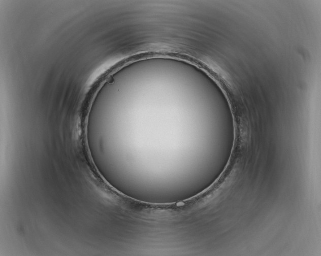 X0000115761070200911131151