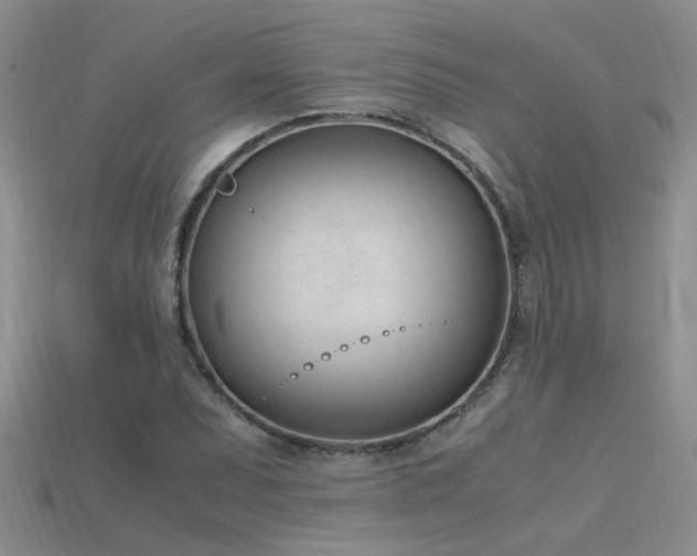 X0000115761071200911131151