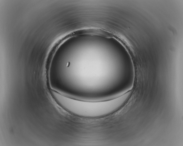 X0000115761072200911131151