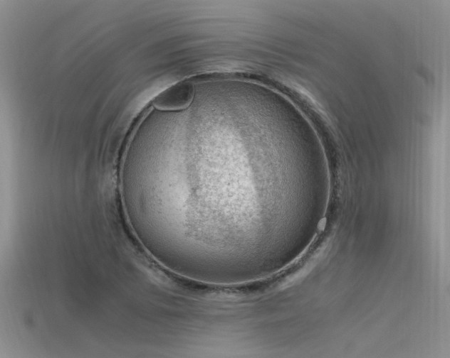 X0000115761073200911131151