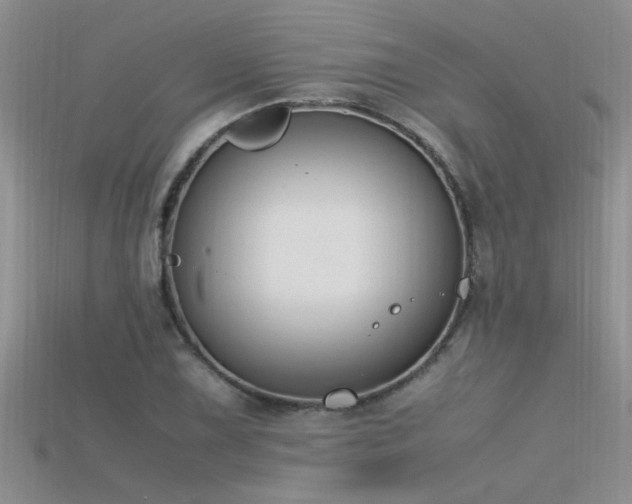 X0000115761075200911131151