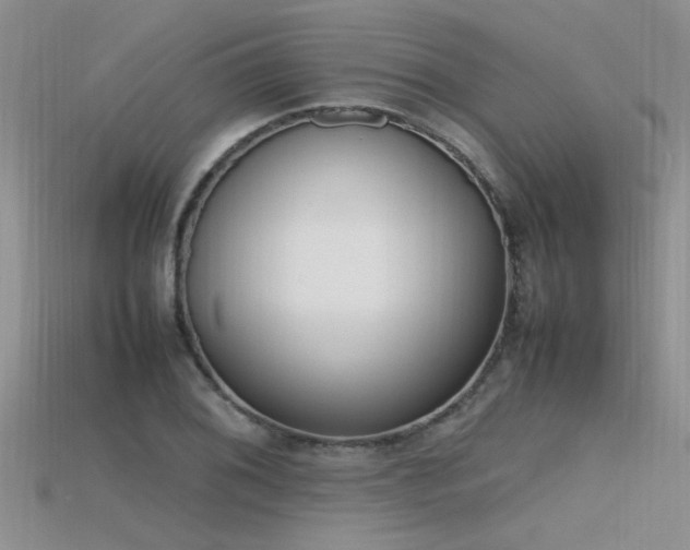 X0000115761076200911131151