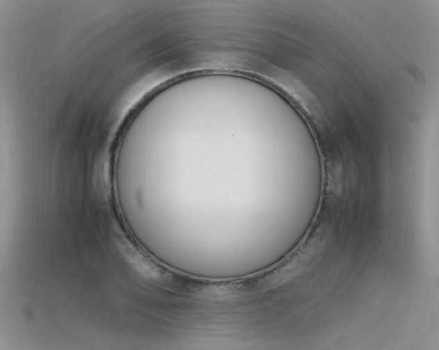 X0000115761078200911131151