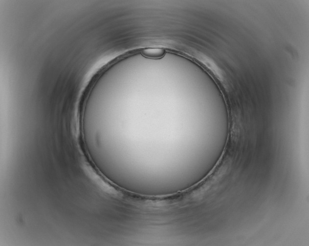 X0000115761080200911131151