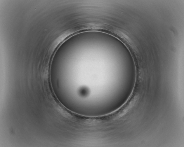 X0000115761081200911131151