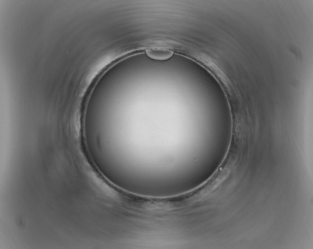 X0000115761083200911131151