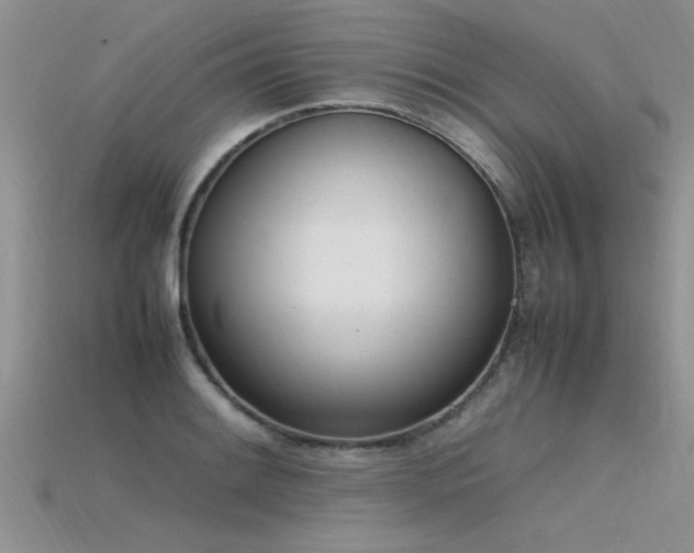 X0000115761084200911131151