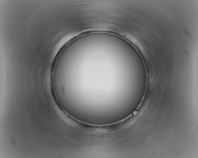 X0000115761085200911131151