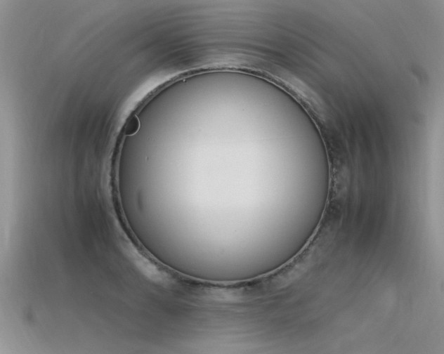 X0000115761086200911131151