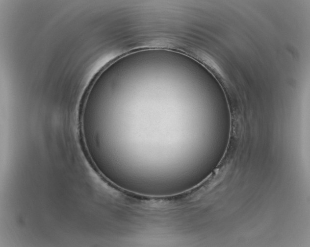X0000115761087200911131151