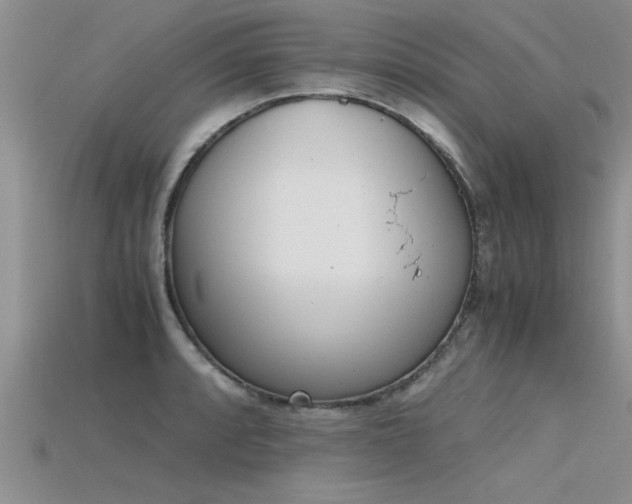 X0000115761088200911131151