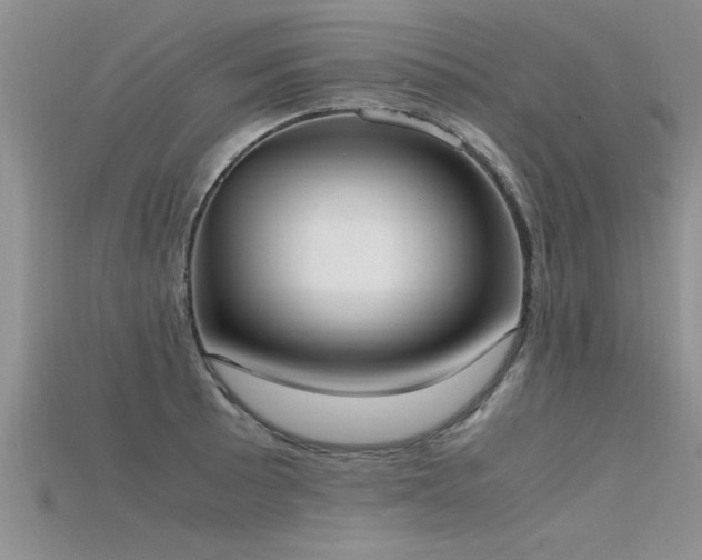 X0000115761089200911131151