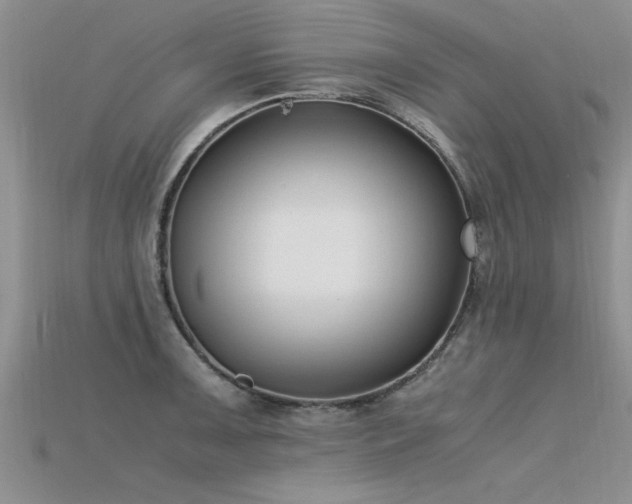 X0000115761091200911131150