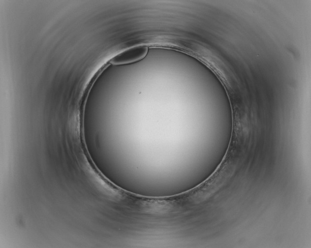 X0000115761092200911131150