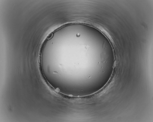 X0000115761093200911131150