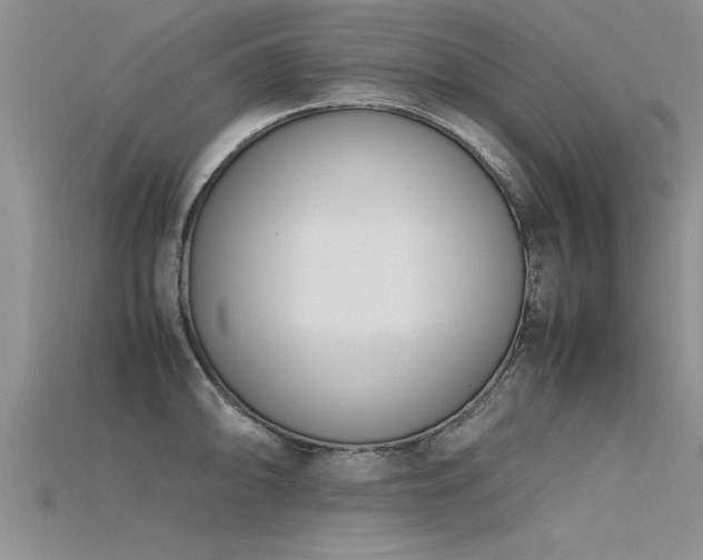 X0000115761094200911131150