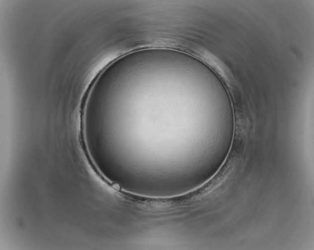X0000115761095200911131150