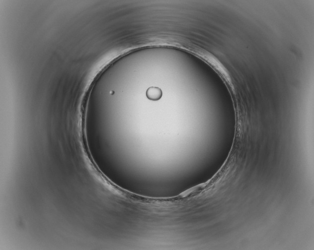X0000115761096200911131150