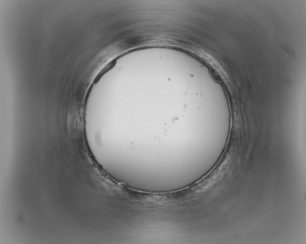 X0000115761097200911131150