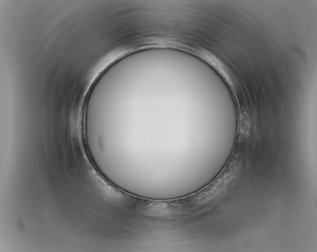 X0000115761098200911131150
