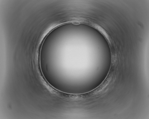 X0000115761099200911131150
