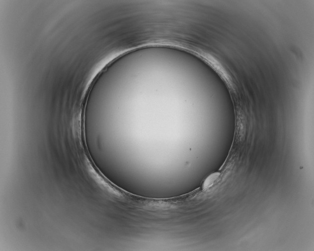 X0000115761100200911131150