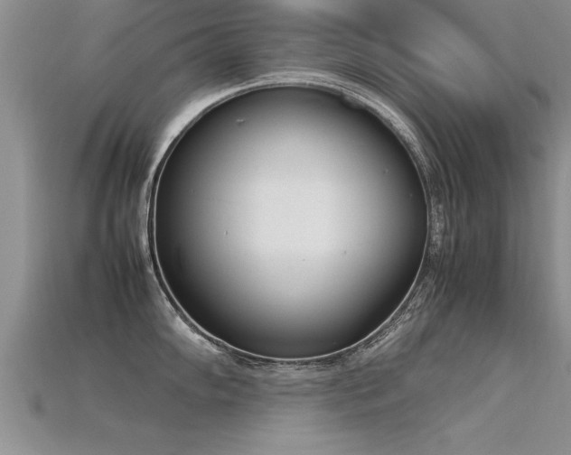 X0000115761102200911131150