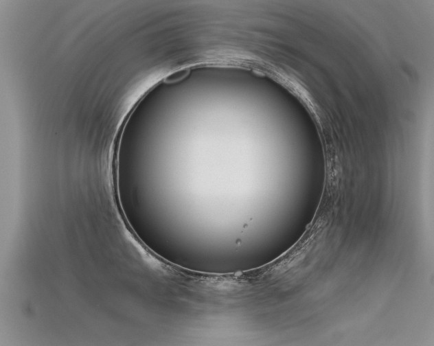 X0000115761103200911131150